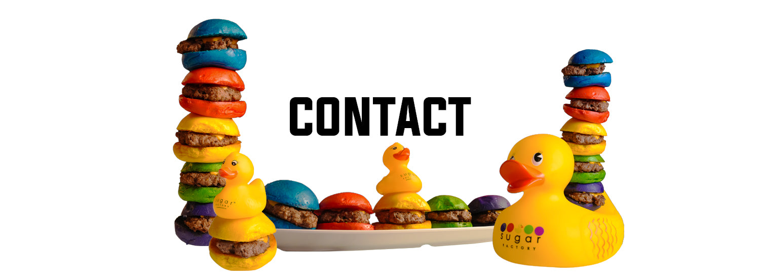 Rainbow Sliders and Duck Image
