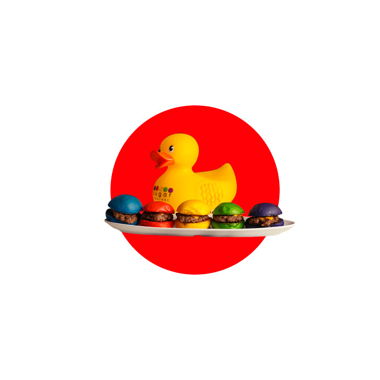 Rainbow Slider and Duck Image
