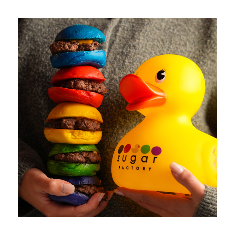 Rainbow Slider and Duck Image